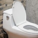 How to Tell If Toilet Is Clogged Partially