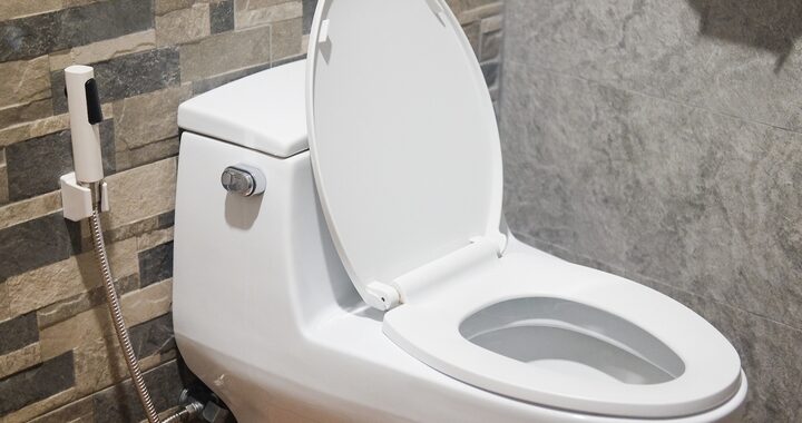 How to Tell If Toilet Is Clogged Partially